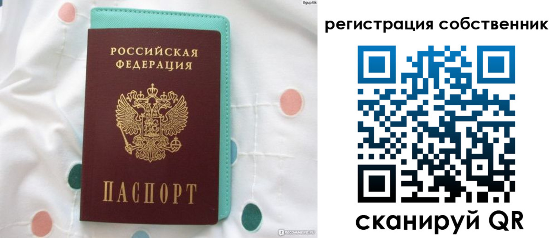 прописка для школы в Шумихе